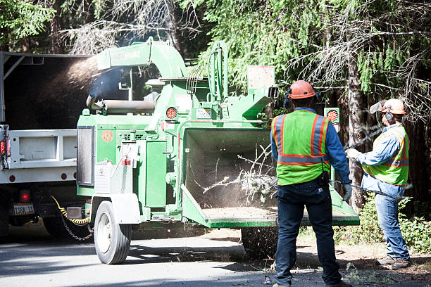 Best Grass Overseeding  in Waipio Acres, HI